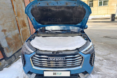 Автоодеяло и утеплитель радиатора Haval Jolion, 2020-2024, до рестайлинга
